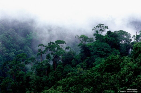 3d2n-bintulu-similajau-national-park.jpg 3D2N Bintulu Similajau National Park