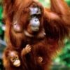 4d3n-amazing-kuching-2.jpg 4D3N Amazing Kuching