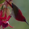4d3n-bird-watching-1.jpg 4D3N Bird Watching