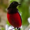 4d3n-bird-watching-2.jpg 4D3N Bird Watching
