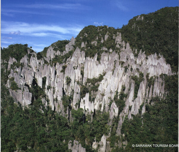 4d3n-mulu-pinnacle.jpg 4D3N Mulu Pinnacles